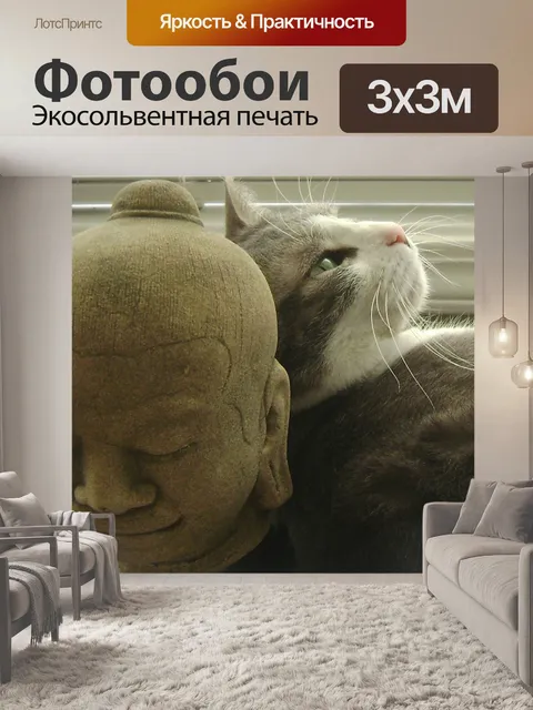 Фотообои Кошка