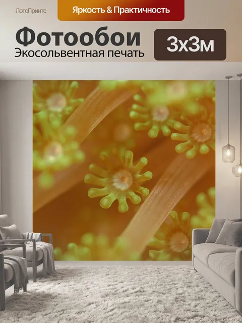 Фотообои Мягкий коралл