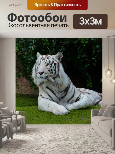 Фотообои Белый бенгальский тигр