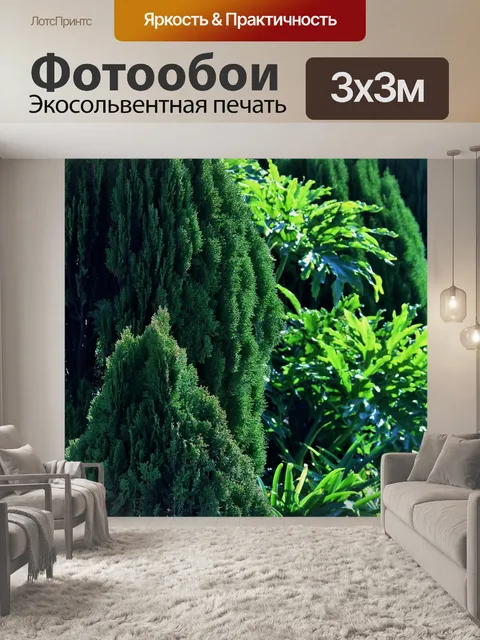 Фотообои хвойные и зелень