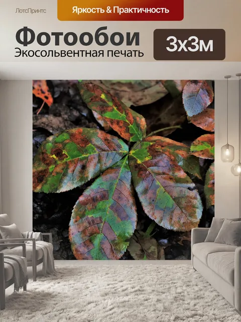Фотообои Золотой и зеленый осенний лист