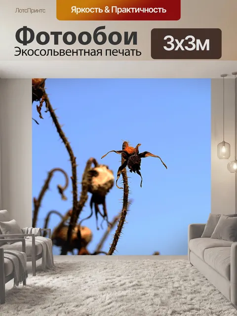 Фотообои Природа