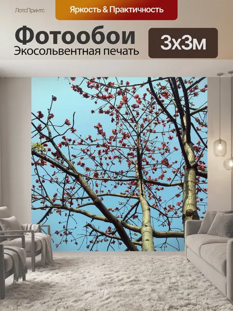 Фотообои Сейба дерево цветами без листьев
