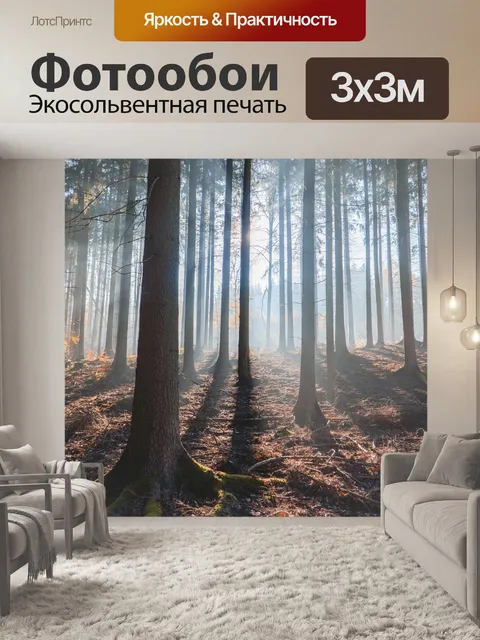 Фотообои Лес