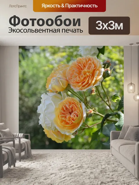 Фотообои Розовый