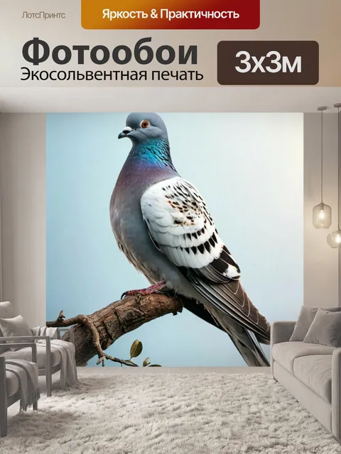 Фотообои реалистичный голубь, dove illustration, nature photography, detailed bird portrait, wild dove, graceful