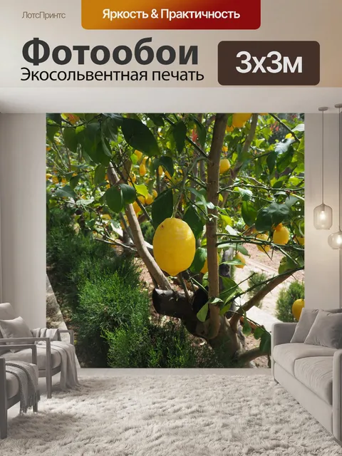 Фотообои Лимон
