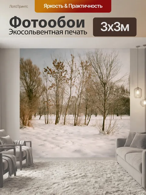 Фотообои Зимний образ, Люблин