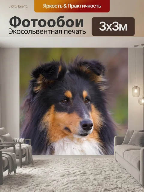 Фотообои Шелти