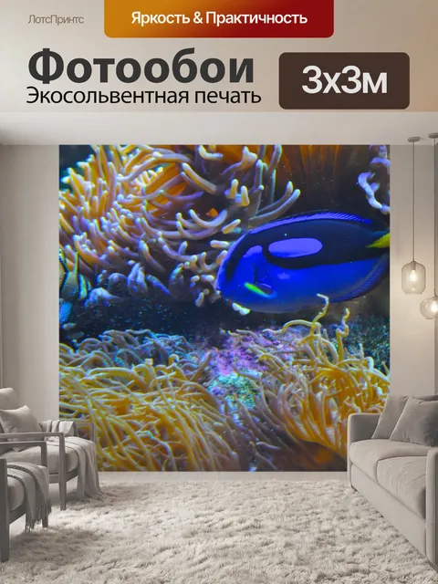 Фотообои Blue Tang