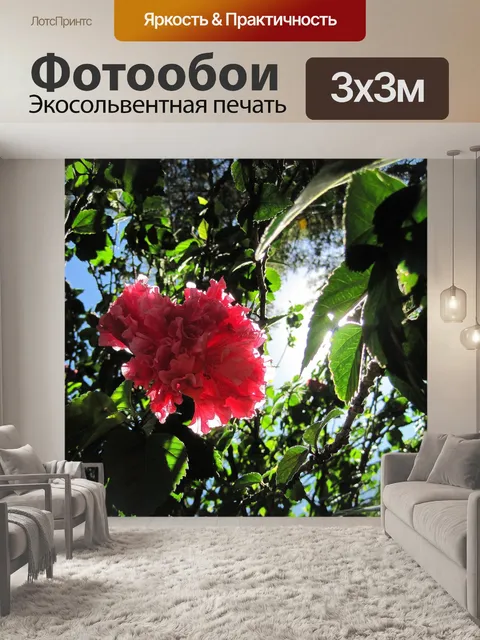 Фотообои розовый цветок