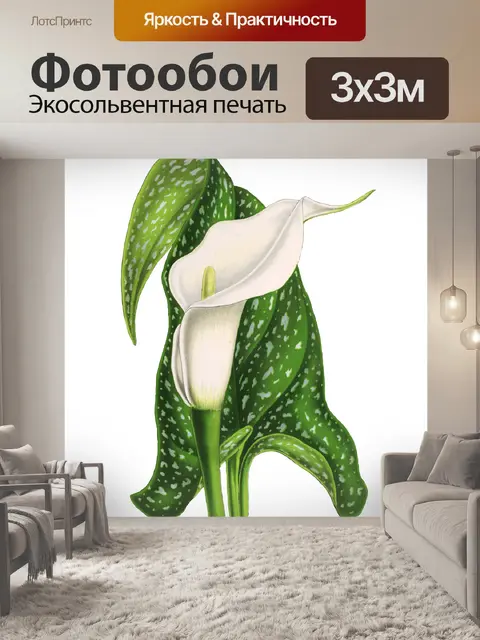 Фотообои Калла цветок искусство цветок
