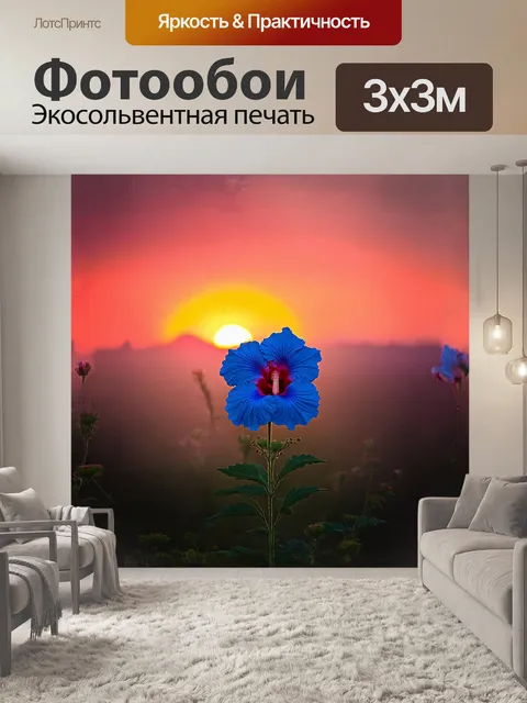 Фотообои одиночный синий гибискус распустился на фоне яркого заката, окутанный нежным туманом