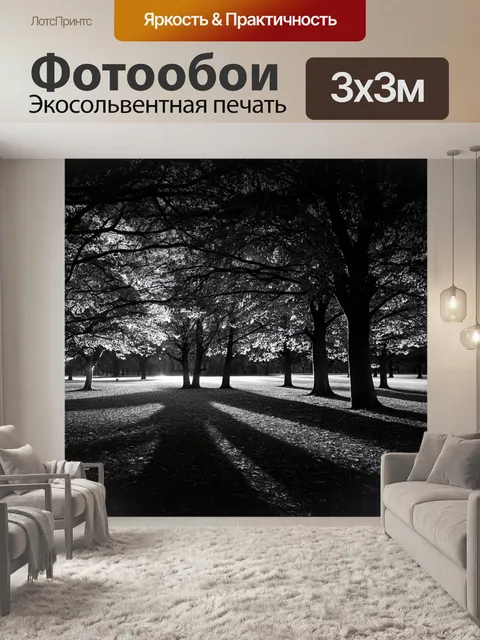 Фотообои ночь в стиле черно-белый, темный осенний парк, скрипучие деревья и тени на земле