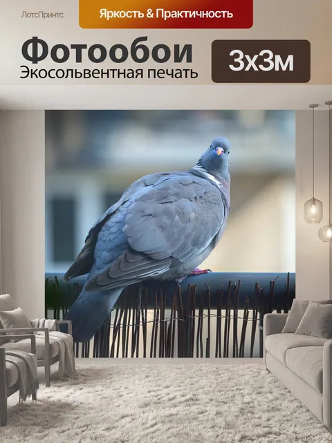 Фотообои Город
