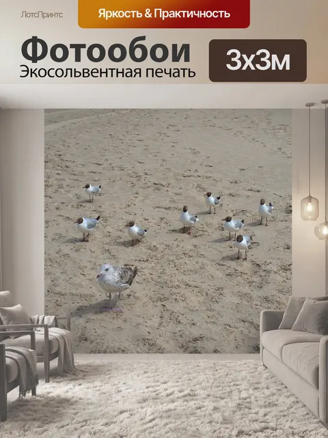 Фотообои Чайки