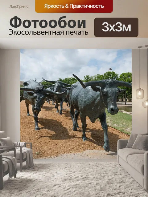 Фотообои Даллас