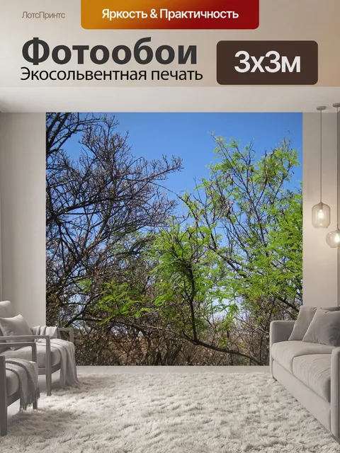 Фотообои Зеленое дерево контрастирует с сухим дер