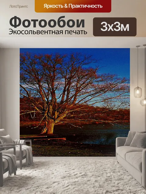 Фотообои Дерево на берегу озера