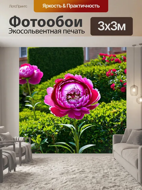 Фотообои пионы в садах, окруженных зелеными кустарниками