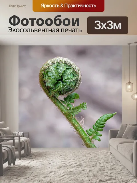 Фотообои Папоротник