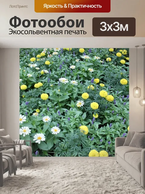 Фотообои цветы ромашки видом на сад
