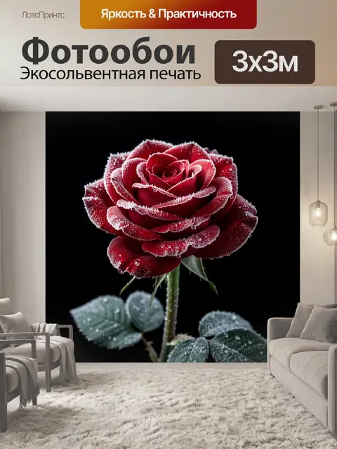 Фотообои Красная роза с росой