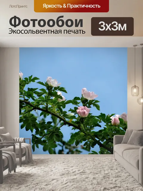 Фотообои Цветок