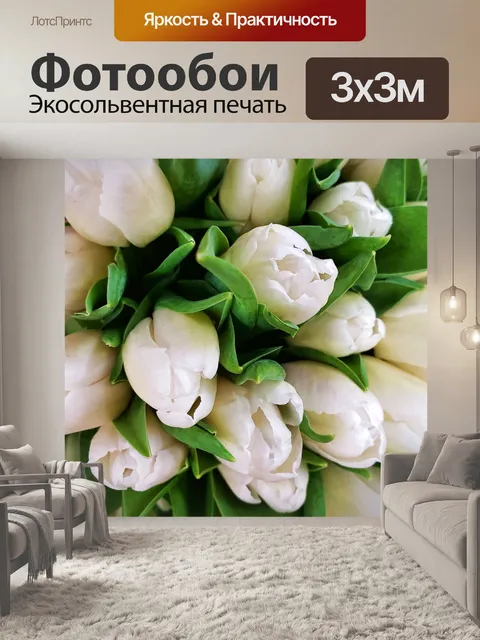 Фотообои Белые тюльпаны