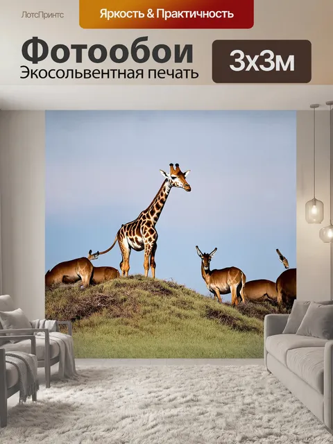 Фотообои жираф, стоящий на высоком холме, с гордой осанкой, смотрит вдаль, где горизонты сливаются с облаками