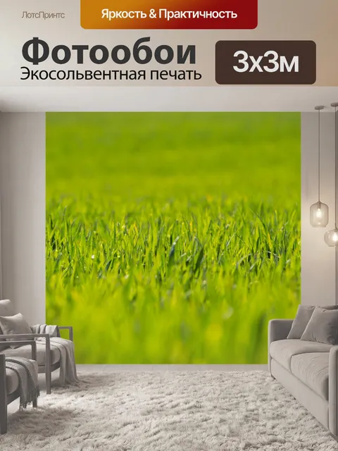 Фотообои Зеленая трава