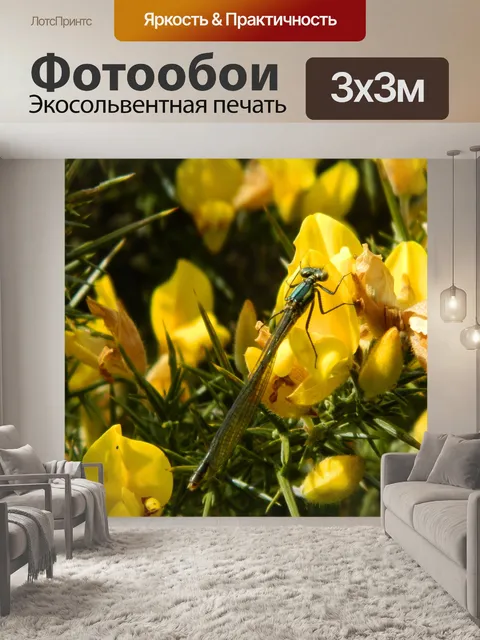 Фотообои стрекоза