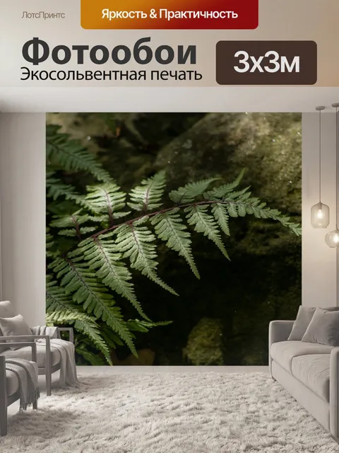 Фотообои Папоротник
