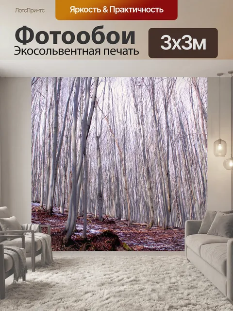 Фотообои Лес