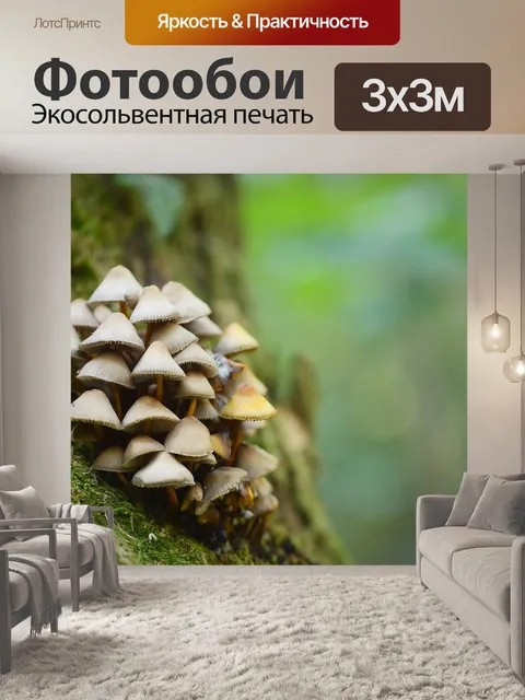 Фотообои Лес