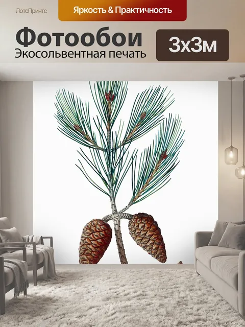 Фотообои Сосновые ветки шишки винтаж старые