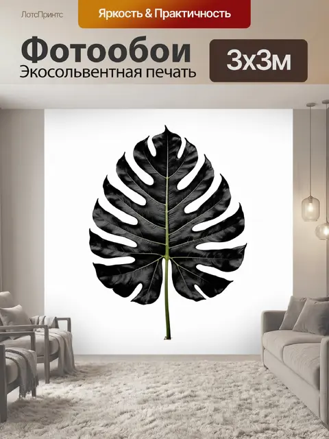 Фотообои минималистичное изображение одного крупного листа монстеры