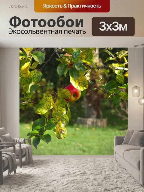 Фотообои Яблоко