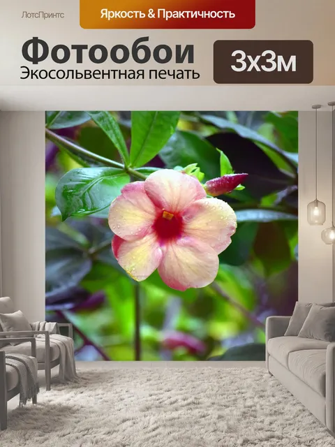 Фотообои Мандевилла цветы 6