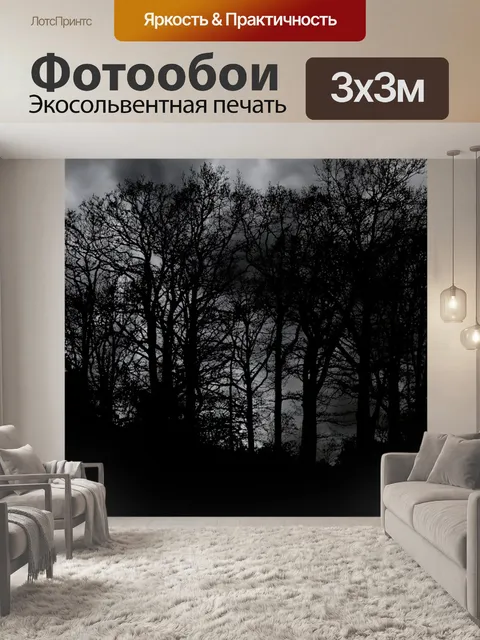 Фотообои Лес