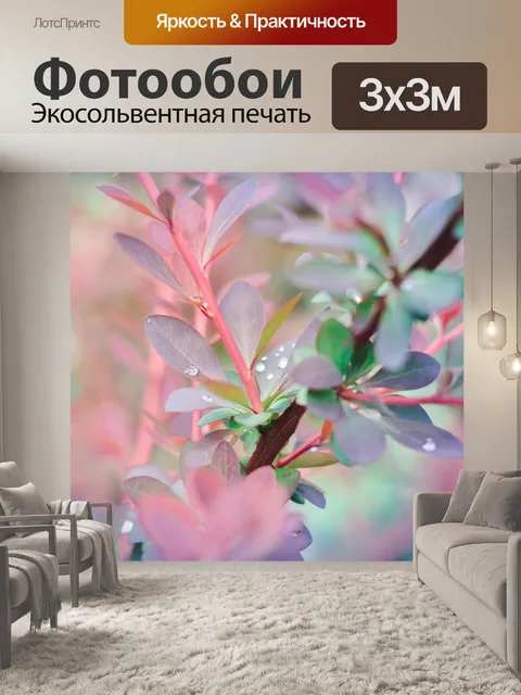 Фотообои Фон