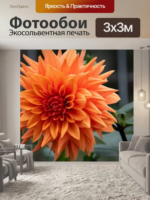 Фотообои Георгин, оранжевый георгин