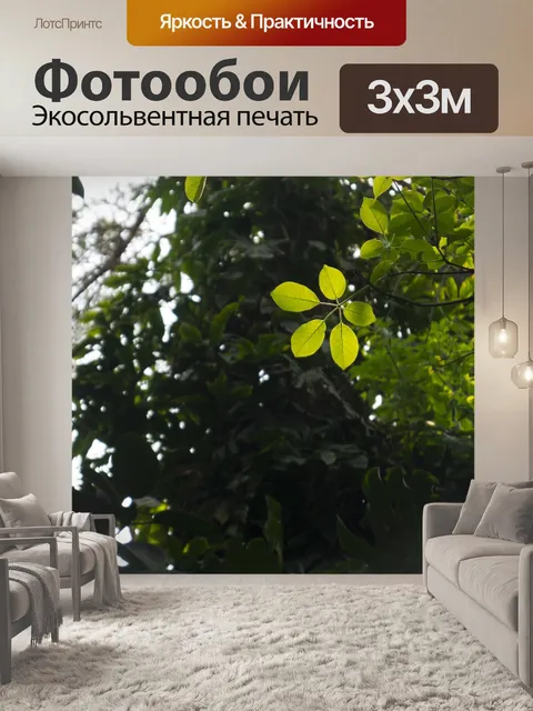 Фотообои Зеленый лист