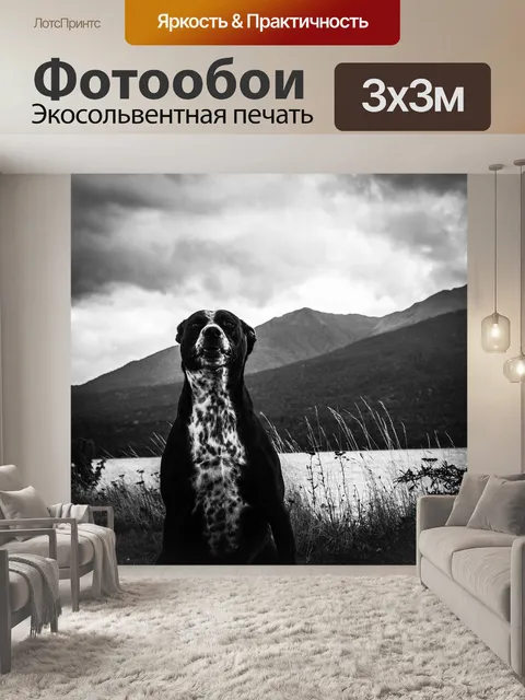 Фотообои Собака