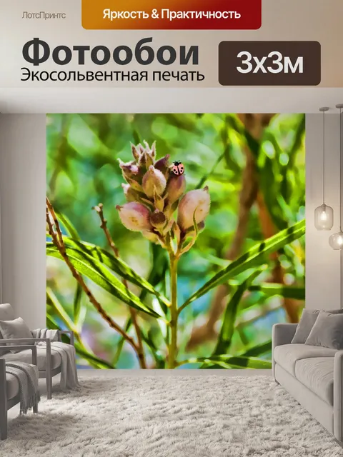 Фотообои Божья коровка