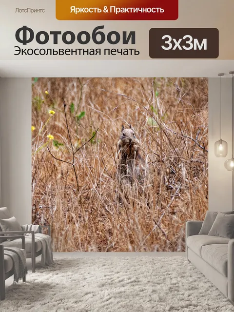 Фотообои Суслик
