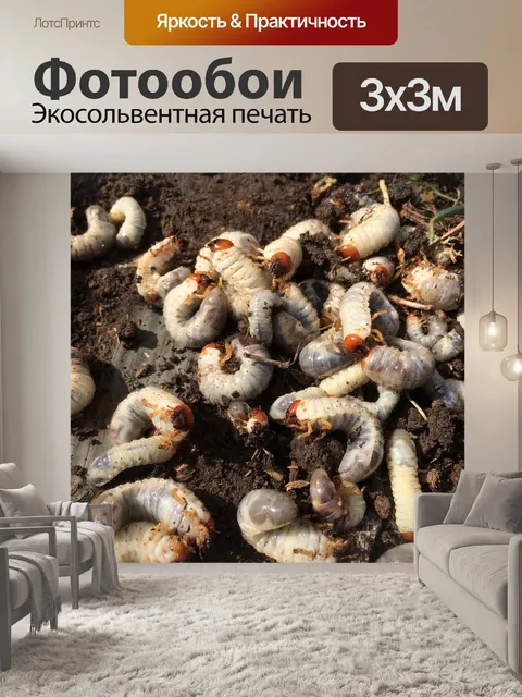 Фотообои Природа