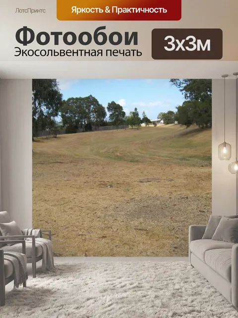 Фотообои Крик в лето