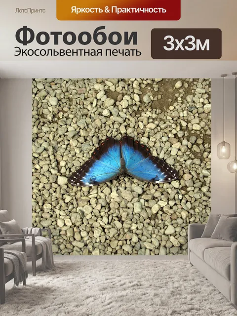 Фотообои Бабочка