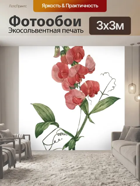 Фотообои Клипарт старинный цветок красный